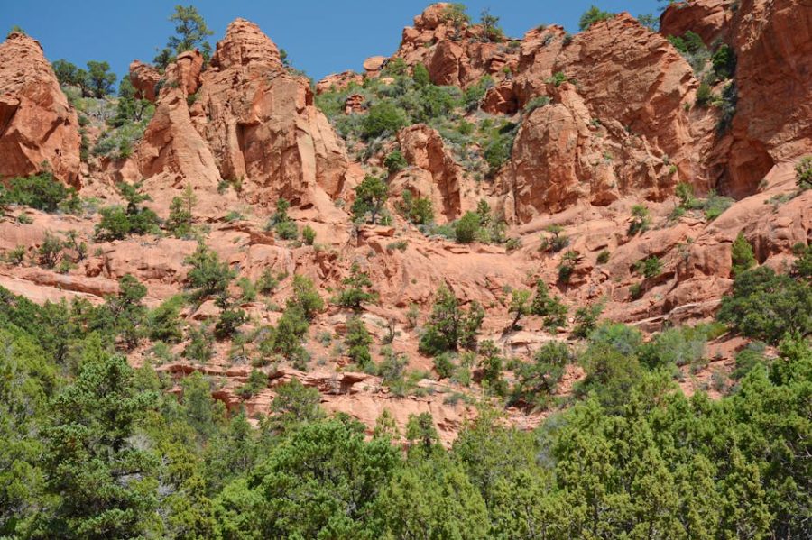 屯門迷你倉：理性探討及實用知識分享