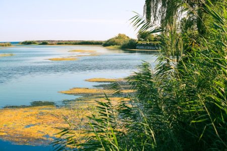 室內設計：讓生活空間綻放靈魂的奇蹟