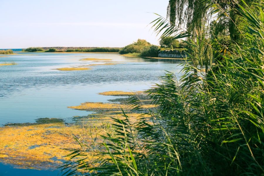 室內設計：讓生活空間綻放靈魂的奇蹟